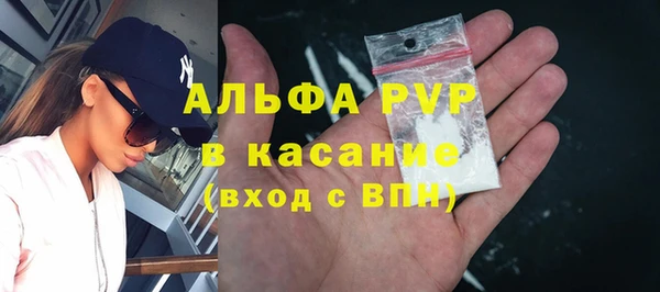 ешки Алексин