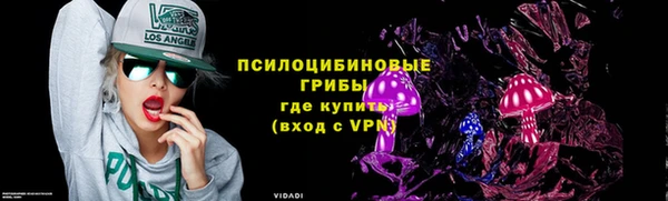 ешки Алексин