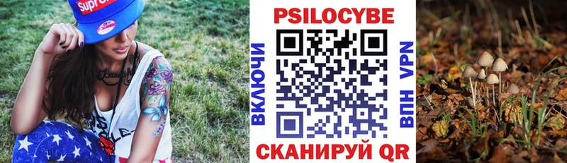 Псилоцибиновые грибы GOLDEN TEACHER  Алзамай 